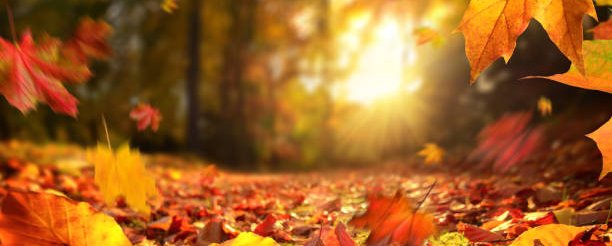 Herfst