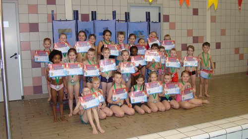 diploma B 7 februari